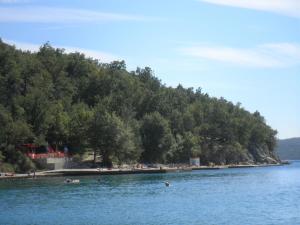 Apartments with a parking space Dramalj, Crikvenica - 17310 