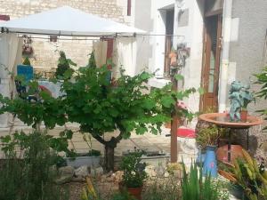 B&B / Chambres d'hotes La cle des jardins : photos des chambres