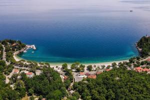 Campsite & Holiday Resort Medveja 