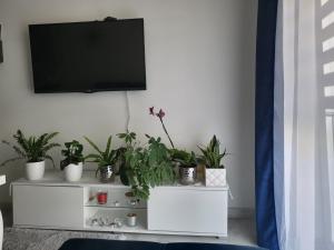 Apartament port oksywie