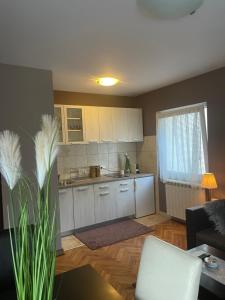 Silver Snowflake - Apartman sa dvoristem