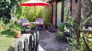 Rosehips at Kerensa, Naburn