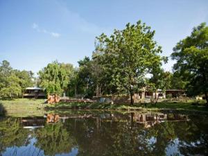 Jungle Hut Resort