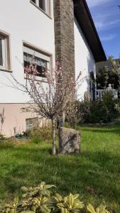 Im Vulkanland Fewo bis 6 Personen