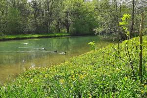 Maisons de vacances Gite Pyrenees de charme jacuzzi 2/3 pers : photos des chambres