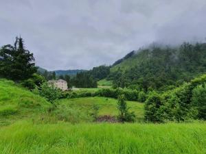 Aleu - Apuseni Mountains