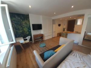 Appartements Classe 3 Etoiles IDEAL VIENNE Centre ville 20 min de LYON : photos des chambres