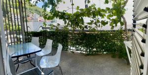 Apartments Marković