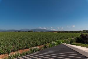 Appartements Les Terres Rouges : photos des chambres