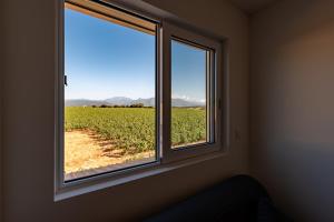 Appartements Les Terres Rouges : photos des chambres