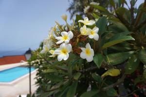 Finca La Romera