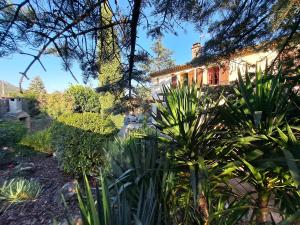 B&B / Chambres d'hotes Gite l'Interlude : photos des chambres