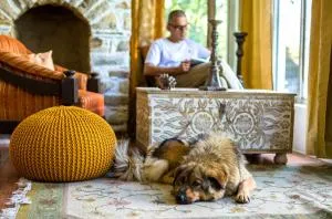 Happy Dervish Homestay Mukteshwar - Mukteswar