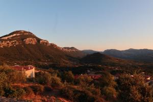 AFFITTACAMERE DORGALI B&B da ZIETTO img72