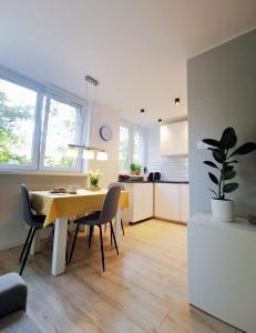 Nowoczesny apartament w sercu Wrocławia