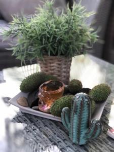 O’Berges D’Astacus