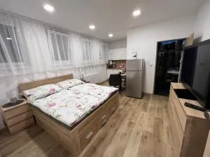 Apartmány U Jelena 1 - Křenov