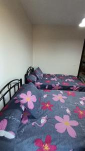 صيف في جراند هيلز الساحل الشمالي