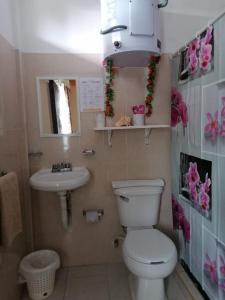 Alme Hostel Playa del Carmen