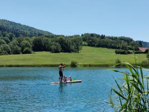 Maisons de vacances CHALET LA FOUGERE 15 personnes 180m2 bauges Savoie Thoiry : photos des chambres