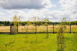 ŚwiętySpokój Puszcza