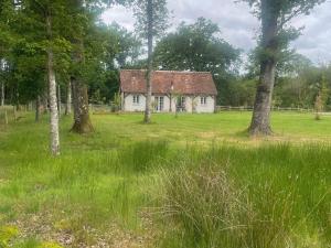 Maisons de vacances Gite Villemurlin, 3 pieces, 4 personnes - FR-1-590-247 : photos des chambres