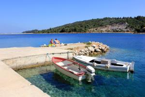 Apartments with a parking space Zaglav, Dugi otok - 878