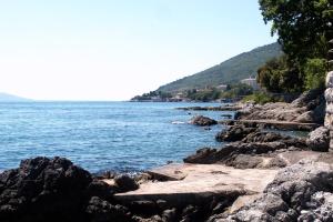 Apartments with a parking space Lovran, Opatija - 7738 