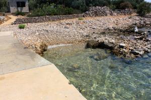 Secluded fishermans cottage Cove Suha Punta, Kornati - 8168