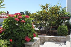 Apartments with a parking space Mali Losinj (Losinj) - 8024