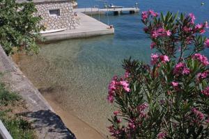 Apartments and rooms by the sea Supetarska Draga - Gornja, Rab - 11579