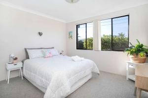 Surfmist One on Mollymook