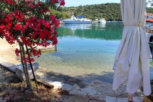 Apartments by the sea Zaglav, Dugi otok - 12504