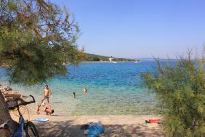 Apartments by the sea Zman, Dugi otok - 12879