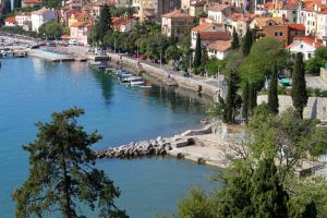 Family friendly apartments with a swimming pool Rijeka - 14294