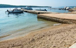 Apartments by the sea Barbat, Rab - 14884