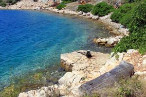 Secluded fishermans cottage Lavdara, Dugi otok - 398