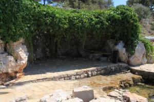 Secluded fishermans cottage Lavdara, Dugi otok - 398