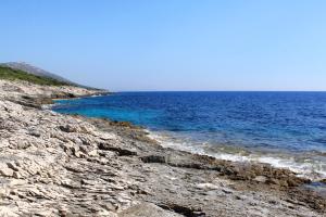 Secluded fishermans cottage Cove Ripisce, Dugi otok - 394