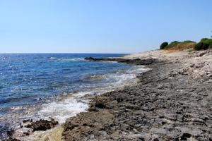 Secluded fishermans cottage Cove Ripisce, Dugi otok - 394