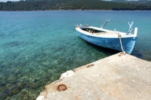 Secluded fishermans cottage Krknata, Dugi otok - 399