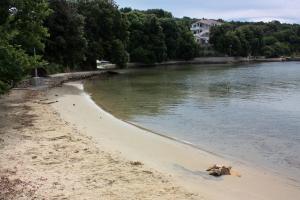 Luxury villa with a swimming pool Supetarska Draga - Gonar, Rab - 15575