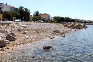 Apartments with a parking space Novalja, Pag - 17140