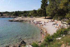 Family friendly house with a swimming pool Bajcici, Krk - 17293 