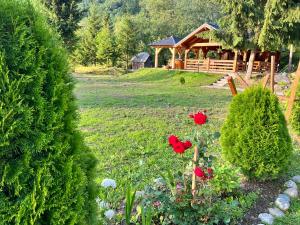 Pensiunea Pietrosul Rodnei