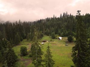 Casa din "Curtea cu cai"