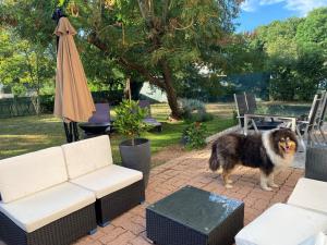 Le gîte de Delphine