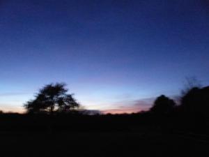 Maisons de vacances LA MAISON BLEUE : photos des chambres