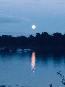 Maisons de vacances LA MAISON BLEUE : photos des chambres