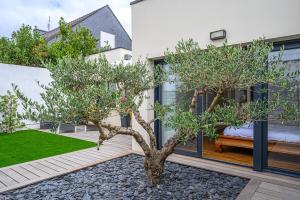 Maisons de vacances LA P'TITE VANNETAISE - Petite maison au bord de l'eau a Conleau avec velos : photos des chambres